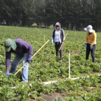 tehuelche noticias: EL APORTE INVISIBILIZADO DE LA MUJER CAMPESINA: SU ROL ES CLAVE PARA LA SUBSISTENCIA Y SOSTENIBILIDAD DEL MUNDO