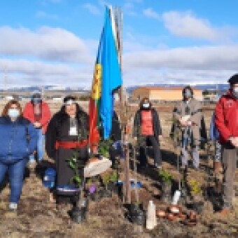 tehuelche noticias: Minvu Hizo Entrega de Terreno virtual para iniciar construcci&oacute;n de 50 viviendas del comit&eacute; Huilli Ruka de Balmaceda