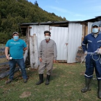 tehuelche noticias: Municipio de Lago Verde y Prodesal comprometidos con la producci&oacute;n familiar y la sanidad animal