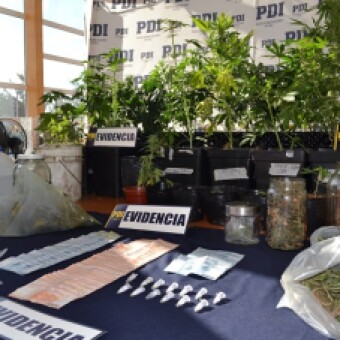 tehuelche noticias: MT-0 Coyhaique y Fiscal&iacute;a desarticulan operaci&oacute;n de venta a domicilio y sacan de circulaci&oacute;n cerca de 6.000 dosis de droga
