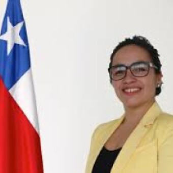tehuelche noticias: Comunicado: Direcci&oacute;n Comunal Coyhaique del PS Respalda Candidatura e Invita a votar por Andrea Mac&iacute;as Palma, para Gobernadora Regional de Ays&eacute;n