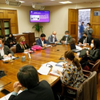 tehuelche noticias: DIPUTADO REN&Eacute; ALINCO DESTAC&Oacute; APROBACI&Oacute;N DEL PROYECTO QUE PERMITIR&Iacute;A UN SEGUNDO RETIRO DEL 10 % DE LAS AFP