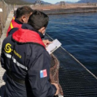 tehuelche noticias: Sernapesca informa t&eacute;rmino de cosecha en centro positivo a ISA en Ays&eacute;n