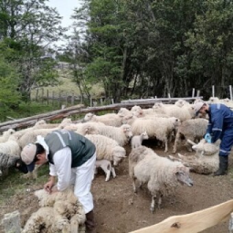 tehuelche noticias: Campesinos reconocen importante labor entre Municipalidad de Lago Verde y equipos del Agro