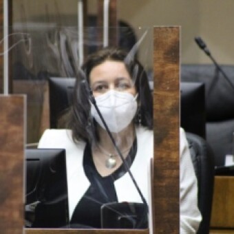 tehuelche noticias: Ximena &Oacute;rdenes: &ldquo;El gobierno plantea un auto pr&eacute;stamo del 10% y no ha sido capaz de decirlo abiertamente&rdquo;