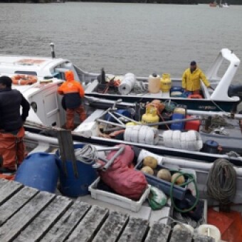 tehuelche noticias: Subsecretar&iacute;a de Pesca defini&oacute; en casi 20 mil toneladas captura anual de merluza del sur