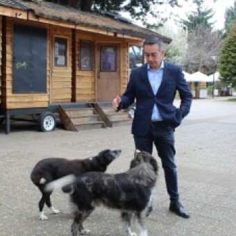 tehuelche noticias: Centro de Rescate y Rehabilitaci&oacute;n Animal: La propuesta de Eugenio Canales para el Municipio de Coyhaique