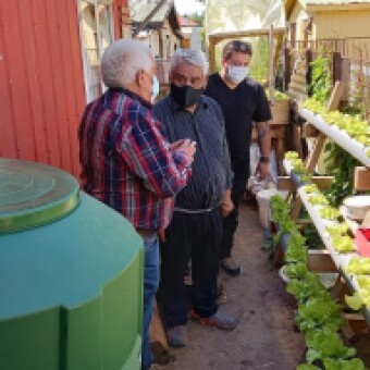 tehuelche noticias: En Chile Chico potencian &ldquo;soberan&iacute;a alimentaria&rdquo;