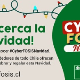 tehuelche noticias: 47 emprendedores de la regi&oacute;n de Ays&eacute;n ofrecen productos y servicios en vitrina virtual CyberFOSIS Navidad