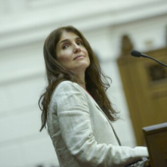 tehuelche noticias: Grupo transversal de mujeres y militantes PS piden candidatura presidencial a la ex vocera de Bachelet, Paula Narv&aacute;ez