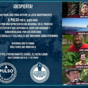 tehuelche noticias: A Pulso, la opci&oacute;n independiente de Ays&eacute;n que avanza hacia la Convenci&oacute;n Constitucional