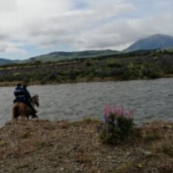 tehuelche noticias: DGA DEL MOP CONSTATA INFRACCIONES AL C&Oacute;DIGO DE AGUAS POR EXTRACCI&Oacute;N DE &Aacute;RIDOS, EXTRACCI&Oacute;N DE AGUAS Y EJECUTAR OBRAS EN CAUCE NATURAL