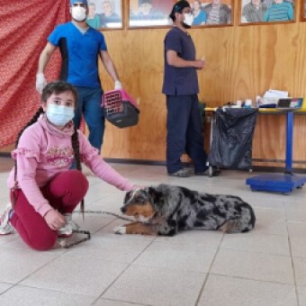 tehuelche noticias: Operativo para mascotas. Todo un &eacute;xito en Tapera y Amengual. El 5 de enero se realizar&aacute; en Lago Verde