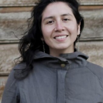 tehuelche noticias: Movimiento Ays&eacute;n Constituyente informa resultados de Consulta Ciudadana
