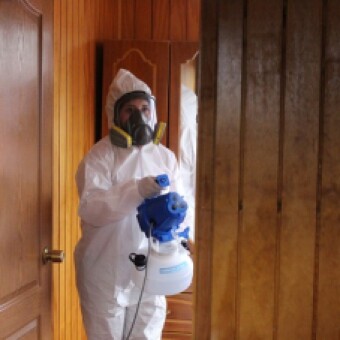 tehuelche noticias: MUNICIPALIDAD DE COYHAIQUE INICIA APORTES SANITARIOS A SERVICIOS TUR&Iacute;STICOS Y DE BELLEZA DE LA COMUNA CON FINALIDAD DE LEVANTAR AL ALICA&Iacute;DO RUBRO