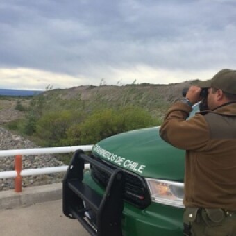 tehuelche noticias: Carabineros de Chile Chico detuvo a presunto responsable de agresi&oacute;n con arma blanca que mantiene grave a v&iacute;ctima