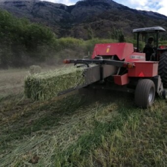 tehuelche noticias: INDAP hace llamado a Productores Campesinos  a abastecerse de Forraje durante el per&iacute;odo estival