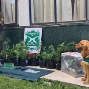 tehuelche noticias: Carabineros del O.S.7 en conjunto con la Fiscal&iacute;a detuvo a dos sujetos por tr&aacute;fico y sac&oacute; de circulaci&oacute;n droga avaluada en cien millones de pesos