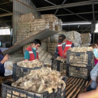 tehuelche noticias: Con lana de oveja y madera nativa impulsan  construcci&oacute;n sustentable en la Patagonia Ays&eacute;n