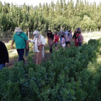 tehuelche noticias: Municipalidad de Chile Chico impulsa la soberan&iacute;a alimentaria a trav&eacute;s de Granja Educativa