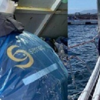 tehuelche noticias: Actualizaci&oacute;n caso virus ISA en la regi&oacute;n de Ays&eacute;n