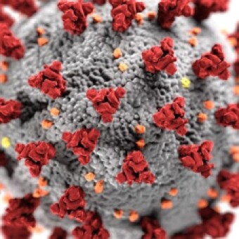 tehuelche noticias: La regi&oacute;n de Ays&eacute;n se acerca a los 4 mil casos covid desde el inicio de la pandemia