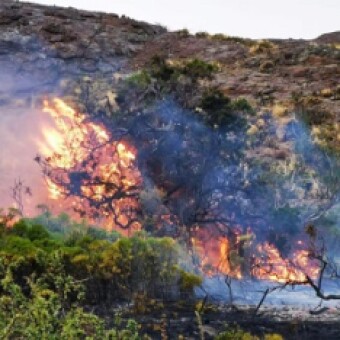 tehuelche noticias: Tormentas el&eacute;ctricas generaron 12 incendios en la regi&oacute;n en las &uacute;ltimas 48 horas