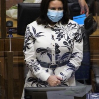 tehuelche noticias: Senadora &Oacute;rdenes sobre Pensiones: &ldquo;Gobierno insiste en cuidar las AFP y no a los jubilados quienes m&aacute;s lo necesitan ahora&rdquo;