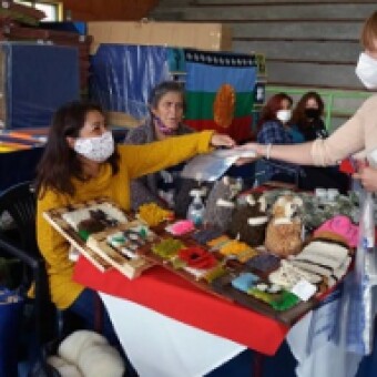 tehuelche noticias: Culmina Expo Feria Mujeres Emprendedoras Ind&iacute;genas de SernamEG y Municipalidad de R&iacute;o Ib&aacute;&ntilde;ez