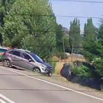 tehuelche noticias: Colisi&oacute;n de dos veh&iacute;culos en ruta 7 deja cuatro lesionados