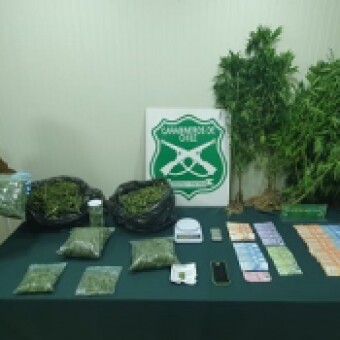 tehuelche noticias: Carabineros del O.S.7 junto a la Fiscal&iacute;a detienen a una persona y decomisan m&aacute;s de 6 mil dosis de cannabis sativa en Puerto R&iacute;o Tranquilo