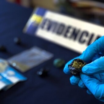 tehuelche noticias: Detienen a sujeto que comercializaba cannabis en Puerto Ays&eacute;n
