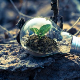 tehuelche noticias: Invitan a nueva Ronda de Negocios con foco en Econom&iacute;a Circular