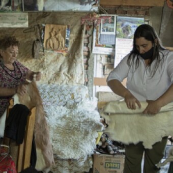 tehuelche noticias: Tradici&oacute;n e Innovaci&oacute;n Artesanal en el Fin del Mundo quedar&aacute; plasmada en publicaci&oacute;n biling&uuml;e