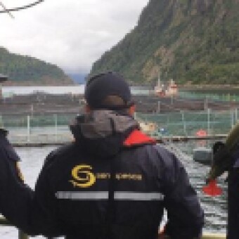 tehuelche noticias: Sernapesca informa activaci&oacute;n de planes de contingencia por mortalidad masiva en la regi&oacute;n de Ays&eacute;n