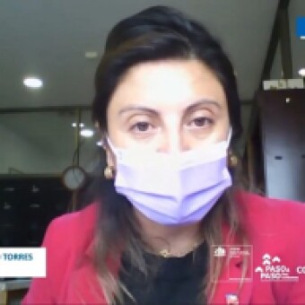 tehuelche noticias: Autoridad Sanitaria implementa test de ant&iacute;genos en paso Huemules