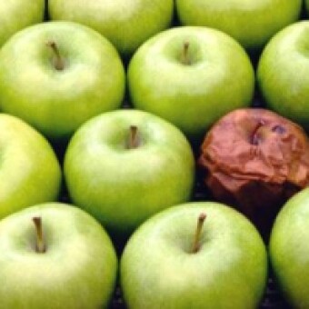 tehuelche noticias: Columna Deshacer el legado del gobierno en Educaci&oacute;n