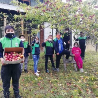 tehuelche noticias: Bajo el sello &ldquo;educar para la vida&rdquo; profesores y estudiantes de Mall&iacute;n Grande realizan proceso para deshidratar frutas
