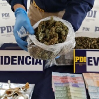 tehuelche noticias: Desarticulan banda que traficaba coca&iacute;na, marihuana, &eacute;xtasis, LSD y hongos alucin&oacute;genos