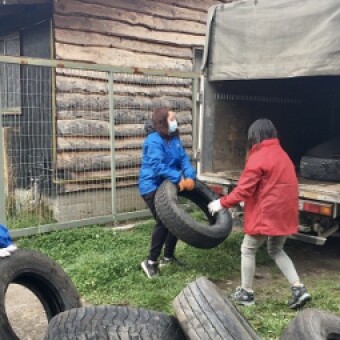 tehuelche noticias: Fondo Participa INJUV: J&oacute;venes voluntarios recolectan neum&aacute;ticos en Coyhaique para su reutilizaci&oacute;n