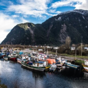 tehuelche noticias: Caletas de pescadores de Ays&eacute;n en estado de alerta ante inminente rebaja de cuota de extracci&oacute;n de erizos