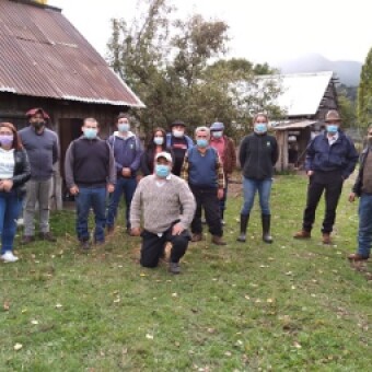 tehuelche noticias: Municipio de Lago Verde, Inia y Prodesal entregan perros de cuidado ovino a productores locales