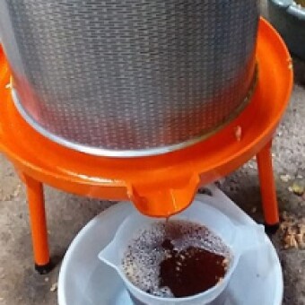 tehuelche noticias: Primera sidra regional con identidad local