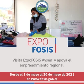 tehuelche noticias: 67 emprendedores de la regi&oacute;n ofrecen productos y servicios en nueva vitrina digital Expo FOSIS Ays&eacute;n