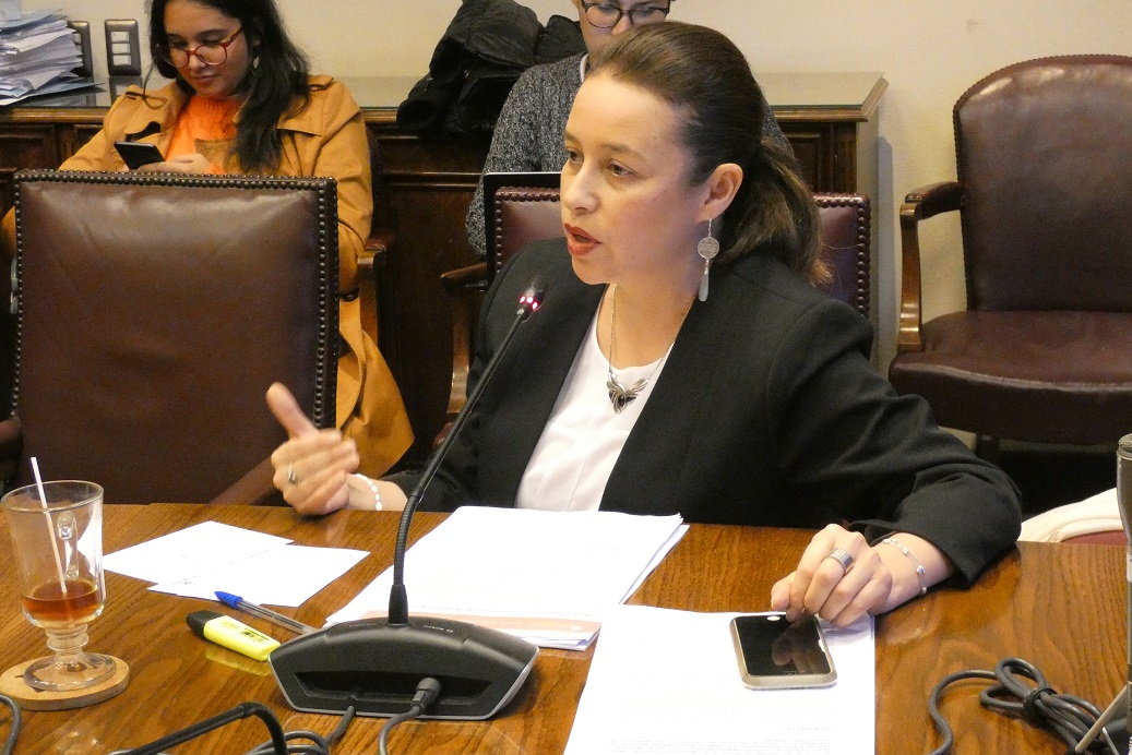 tehuelche noticias Aysen