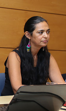 tehuelche noticias Aysen