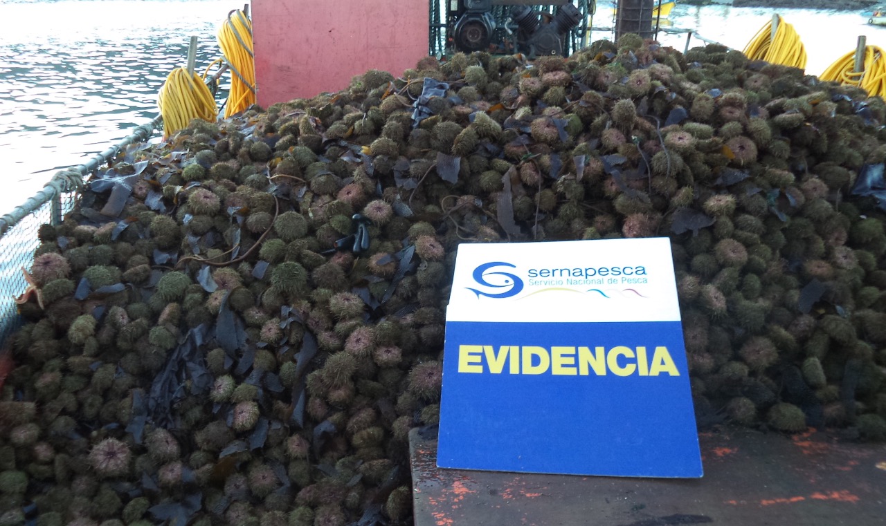 tehuelche noticias Aysen