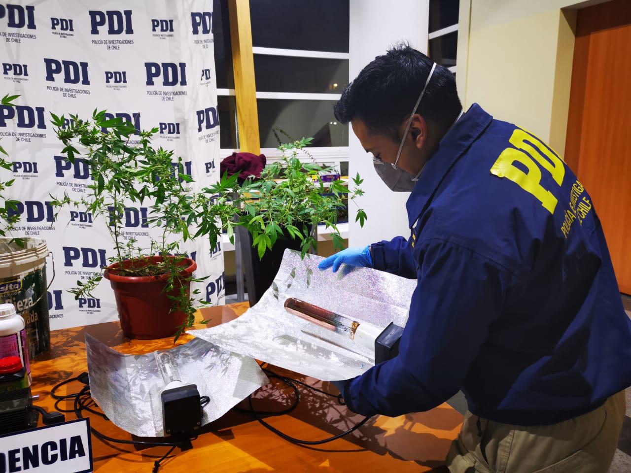 Tehuelche Noticias