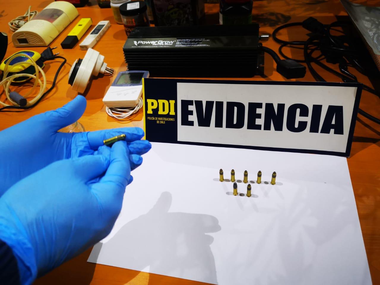 Tehuelche Noticias