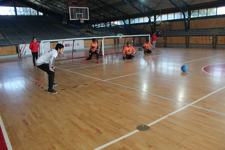 Tehuelche Noticias